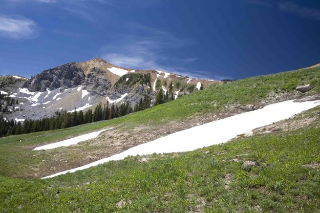 High Mountain Scenery. Photo by Dave Bell.