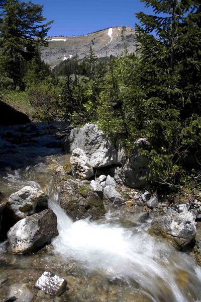 Dead Cow Creek. Photo by Dave Bell.