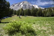 Snow Fringed Meadow. Photo by Dave Bell.