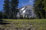 Mt. McDougal. Photo by Dave Bell.