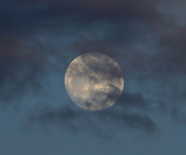 Cloudy Supermoon. Photo by Dave Bell.