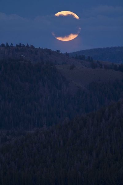 Up and Obscured. Photo by Dave Bell.