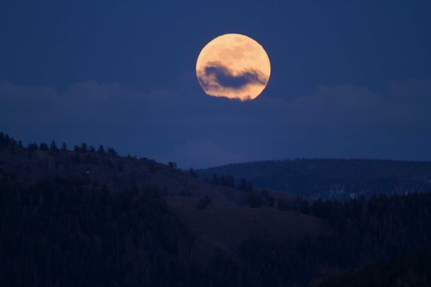 Man In The Moon With A Mustache. Photo by Dave Bell.