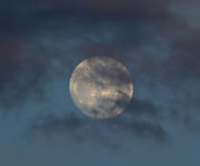 Cloudy Supermoon. Photo by Dave Bell.