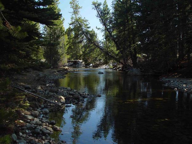 New Fork River Below Lakes. Photo by Dave Bell.