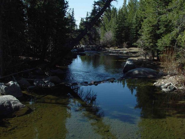 Reflections In The New Fork River. Photo by Dave Bell.