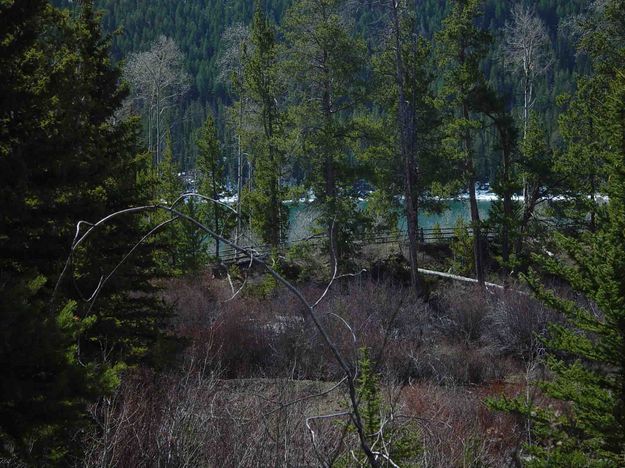 Near New Fork Canyon Trailhead. Photo by Dave Bell.