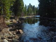 New Fork River. Photo by Dave Bell.