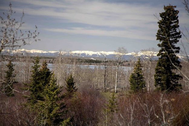 New Fork Lake. Photo by Dave Bell.