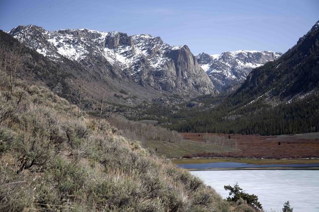 Looking Up New Fork Canyon. Photo by Dave Bell.