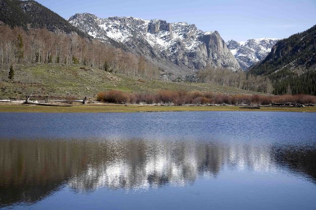 Reflection In Lake. Photo by Dave Bell.