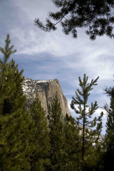 Cliff Face. Photo by Dave Bell.