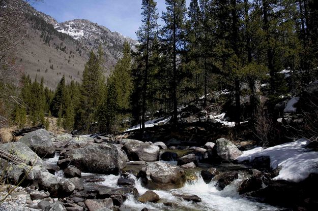 New Fork River. Photo by Dave Bell.