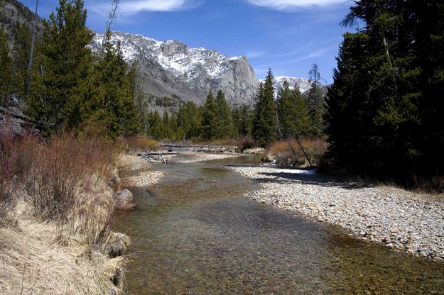 Crystal Clear New Fork River. Photo by Dave Bell.