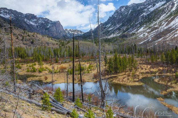 Moving Up The Valley. Photo by Dave Bell.