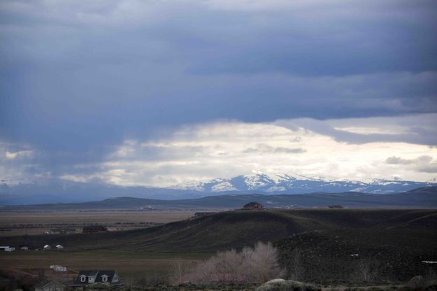 Spring Shower. Photo by Dave Bell.