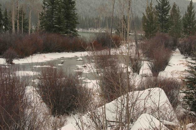 Snowy Scene At New Fork Lakes. Photo by Dave Bell.