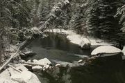 New Fork River Below Bridge. Photo by Dave Bell.