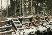 Buck Rail Fence. Photo by Dave Bell.