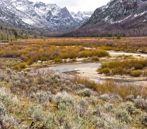 New Fork River. Photo by Dave Bell.