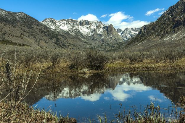 Snowmelt Pond Reflections. Photo by Dave Bell.