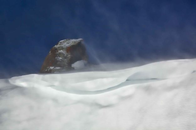 Cornice Guarder. Photo by Dave Bell.