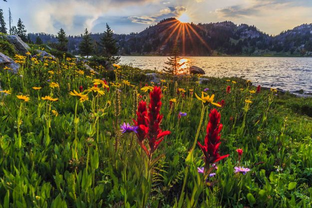 Borum Lake Sunset. Photo by Dave Bell.