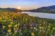 Flower Full Sunset At No Name Lake. Photo by Dave Bell.