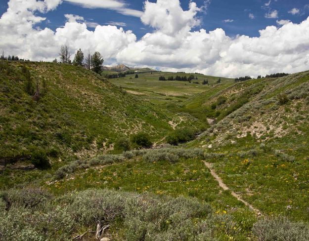 North Horse Creek Country. Photo by Dave Bell.