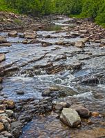 Easy Flowing Horse Creek. Photo by Dave Bell.