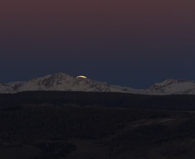 Moon Sliver. Photo by Dave Bell.