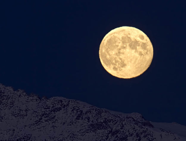 Harvest Moon. Photo by Dave Bell.