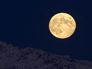 Harvest Moon. Photo by Dave Bell.