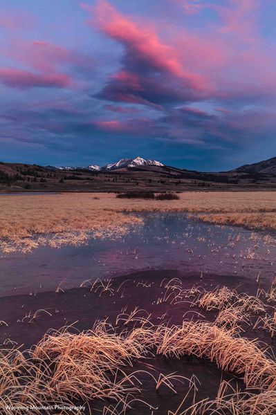 Color At Swan Lake Flats. Photo by Dave Bell.