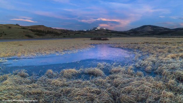 Electric Peak Color. Photo by Dave Bell.