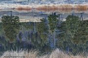 Upside Down At Floating Island Lake. Photo by Dave Bell.