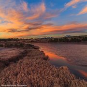 Swan Lake Sunrise. Photo by Dave Bell.