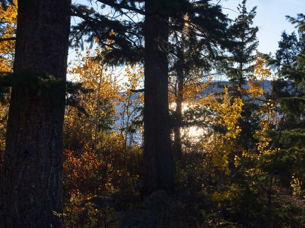 Fall Light. Photo by Dave Bell.