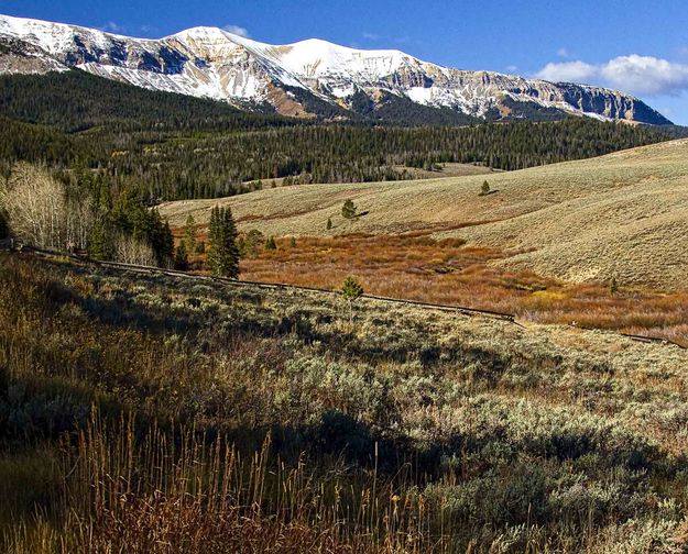 Cottonwood Creek Valley. Photo by Dave Bell.