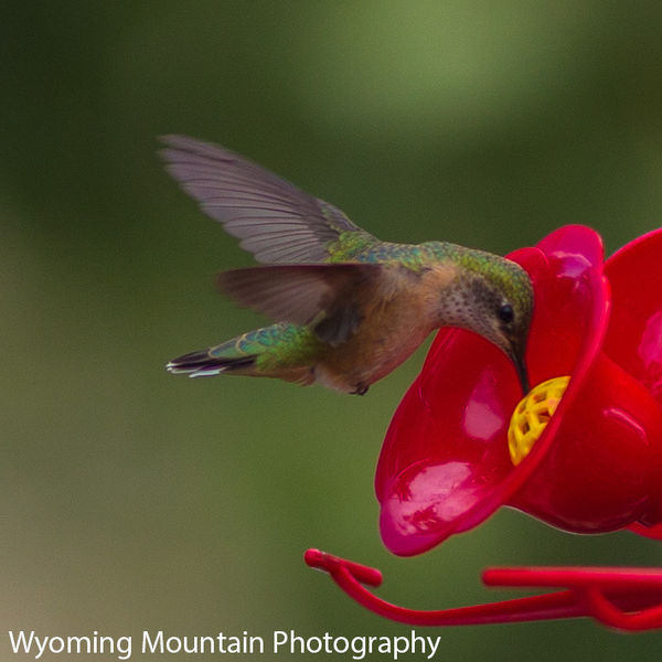 Dinner. Photo by Dave Bell.