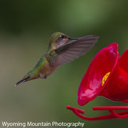 Posing. Photo by Dave Bell.