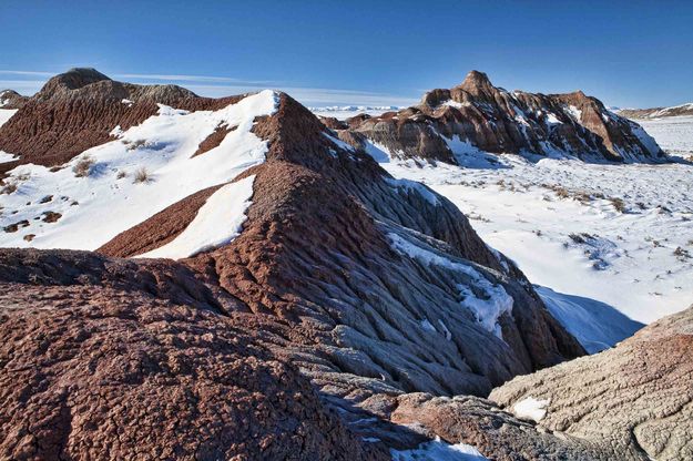 Pretty Formations. Photo by Dave Bell.