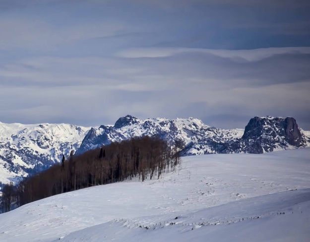 Snowy Scene. Photo by Dave Bell.