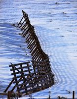 Snowfence. Photo by Dave Bell.