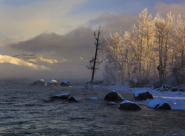 Bitter Cold Morning Light. Photo by Dave Bell.