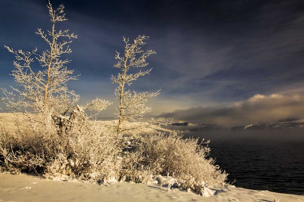 Bright Sunshine. Photo by Dave Bell.