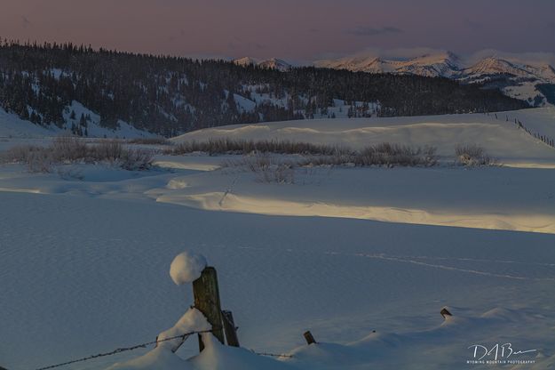 Belt Of Venus. Photo by Dave Bell.