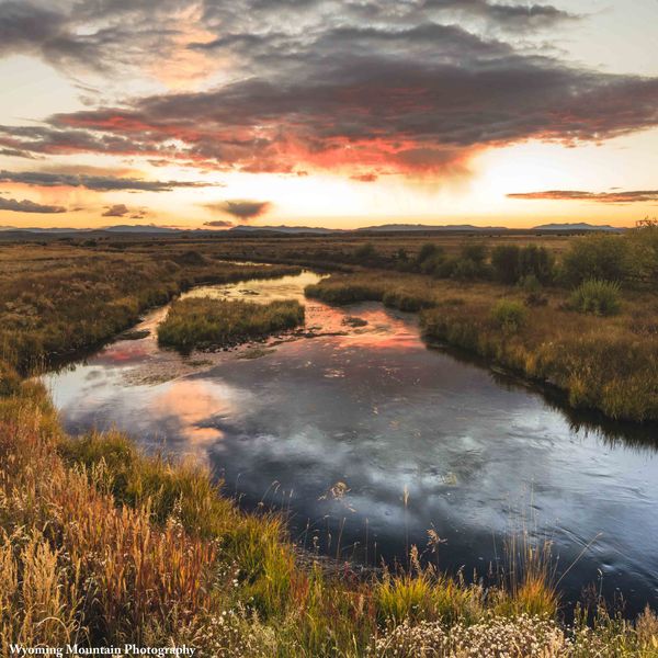 Wild Sky. Photo by Dave Bell.