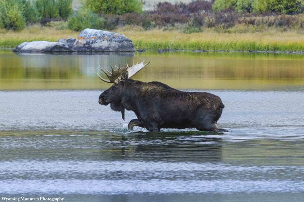 Crossing To The Other Side. Photo by Dave Bell.