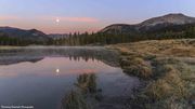 Gorgeous Morning At Soda Lake. Photo by Dave Bell.